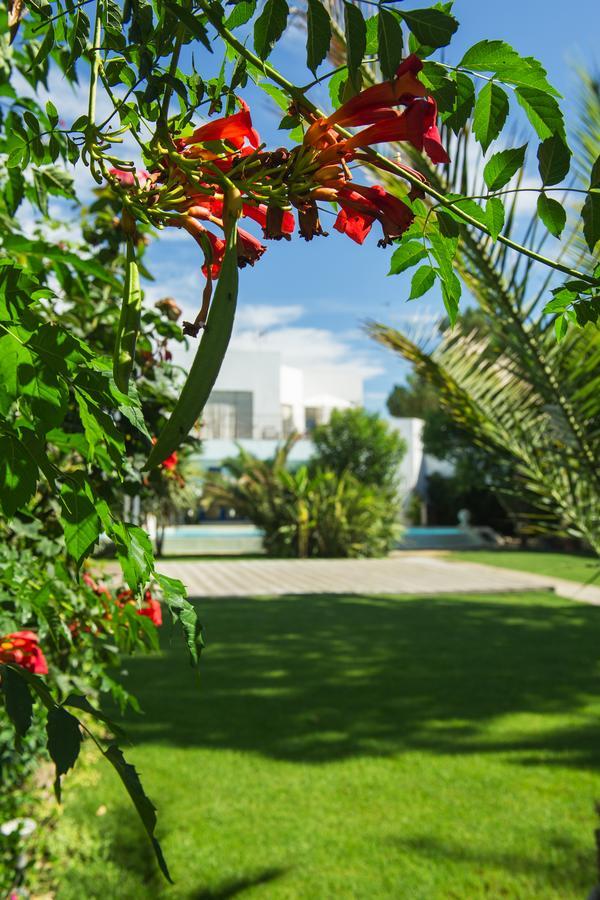 La Villa Majorelle Pertuis Ngoại thất bức ảnh