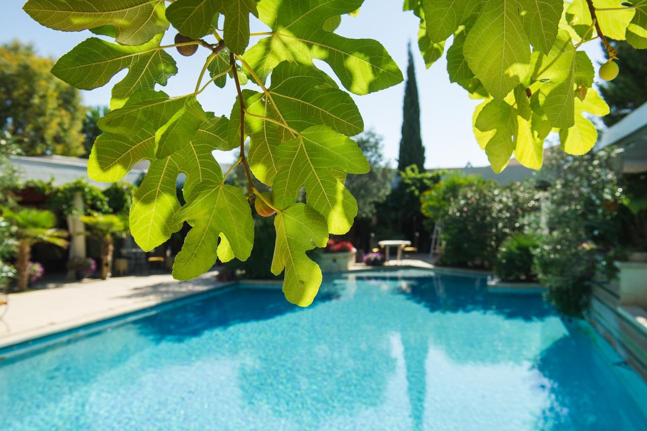 La Villa Majorelle Pertuis Ngoại thất bức ảnh